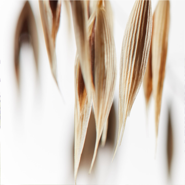oat